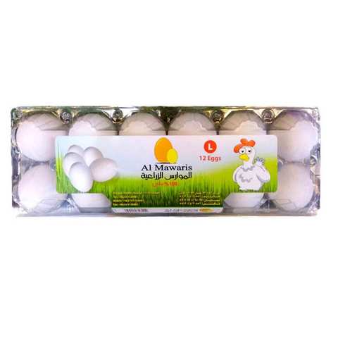 Al Mawaris Eggs Plastic Large 12 Pieces