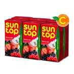 Buy Suntop Berry Mix Juice 125ml Pack of 6 in UAE