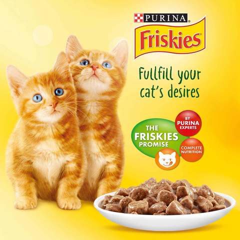 Purina Friskies Kitten Chicken Chunks In Gravy Wet Cat Food Pouch