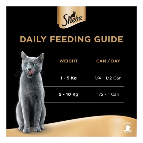 Sheba Cat Food Succulent Chicken Breast 85g Can (Pack of 6)