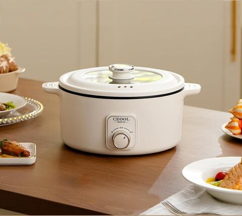 Electric cooker on sale online shopping