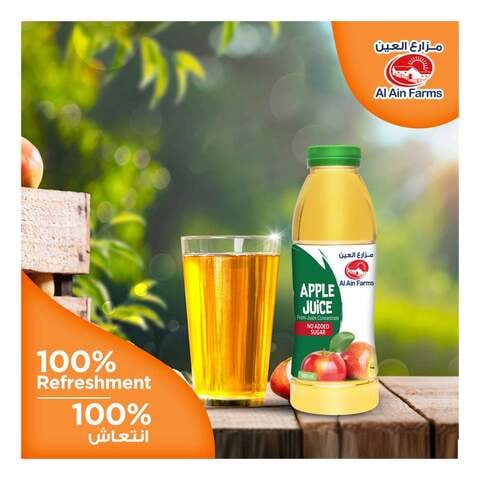 Al Ain Apple Juice 500ml