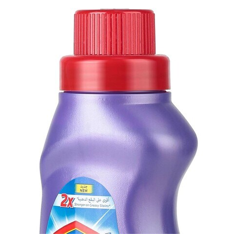 Clorox Clothes Stain Remover And Color Booster 500ml