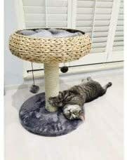 Buy Pet Shop Dragon Mart Cat Scratcher Scratching Post Kitchen Furniture Fauna Paola Cat Playground - Grey in UAE