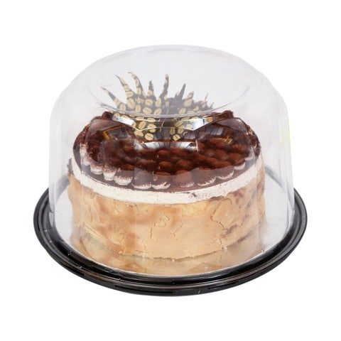 كعكة تيراميسو متوسطة الحجم