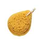 Buy Wee Baby Bath Sponge 850 Yellow in Saudi Arabia