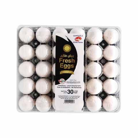 Al Ain Large White Egg x30