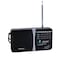 Geepas GR6821 Radio With 4 Band, AM/SW/TV/FM Bands| Big Speaker, Standard Earphone Included, Large Knob| Ideal for Indoor &amp; Outdoor Use, 2 Years Warranty