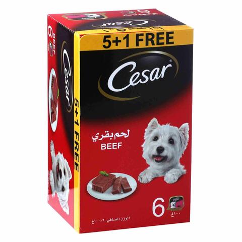 سيزار طعام كلاب هش بذوق لحم البقر 100 غرام - حزمة من 6