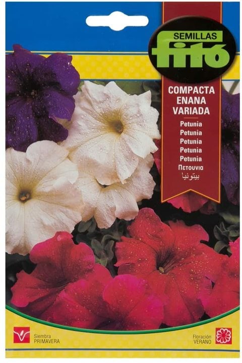 Fito Petunia Dwarf Compact Mix-671