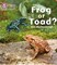 Frog or Toad? Band 03/Yellow Paperback &ndash; 1 September 2011