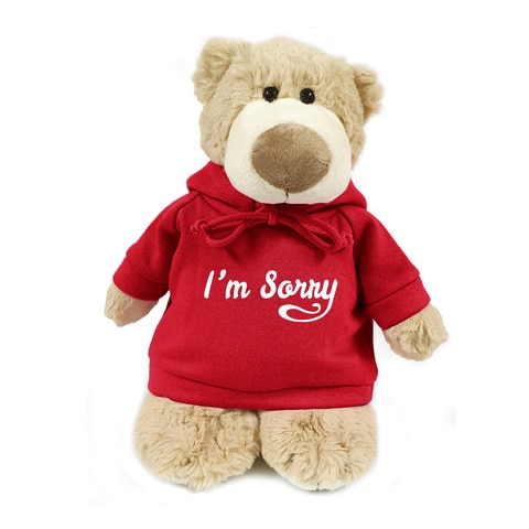 Mascot Bear with Red Hoodie I&#39;m Sorry 28cm