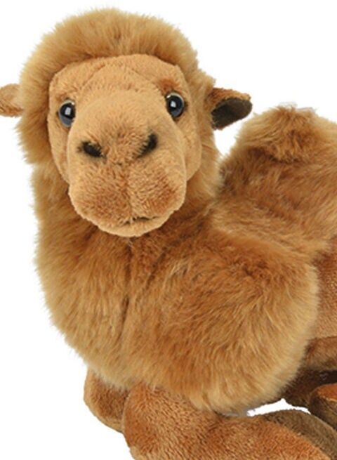 Nicotoy Cute Lying Camel Plush Figure 23 X 13cm
