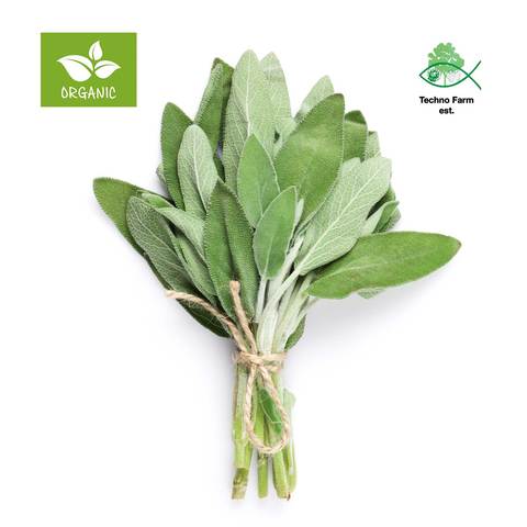 Organic Sage - Tray 50g