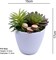 YATAI - Artificial Plants Mini Potted Succulents Plant Fake Cactus Plant With Plastic Pot
