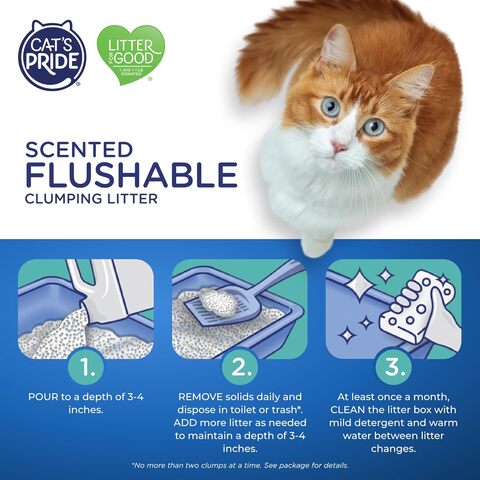 Cat's pride best sale disposable litter box