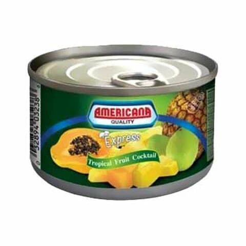 Americana Fruit Cocktail In Syrup 227g