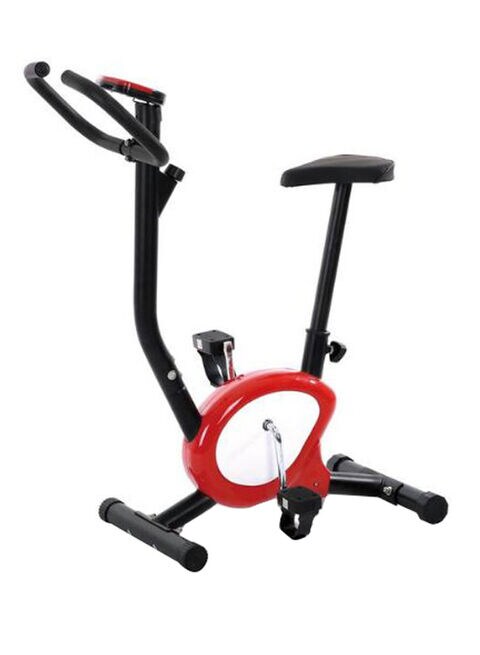 Buy Body Builder 8 Level Magnetic Control Flyheel Exercise Bike