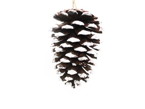 Christmas Magic Deluxe Cones Nature with Snow 2-Packs- 8 cm Size- Brown/White