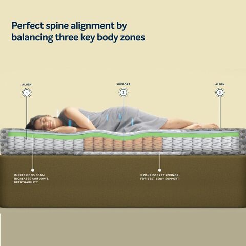 Sleepwell sales cushion sizes