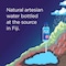 Fiji Natural Mineral Water 1L