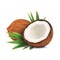 Fresh Coconut Per KG