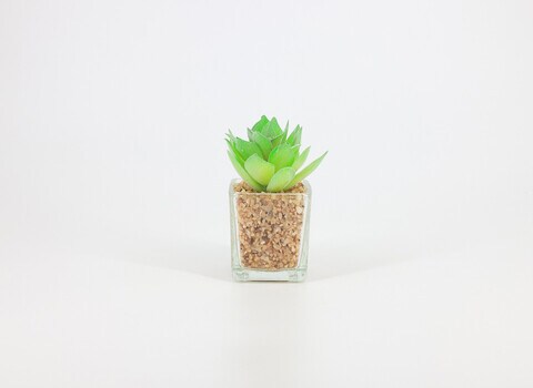 Artificial succulent bonsai-Model 06
