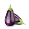 Eggplant Ronde