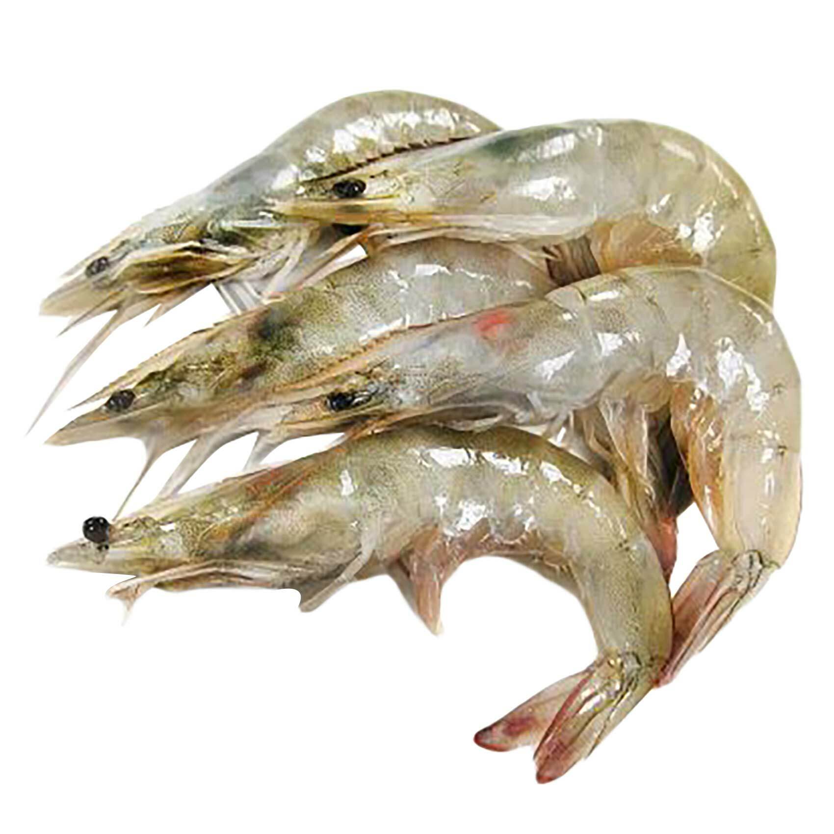 Buy Fresh Shrimps 30 40 Online Shop Fresh Food On Carrefour Uae