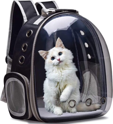 Outdoor 2025 cat carrier