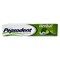 PEPSODENT TOOTHPASTE HERBAL 65G