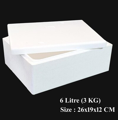 Thermo store chest styrofoam