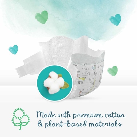 Pampers pure nappy store pants