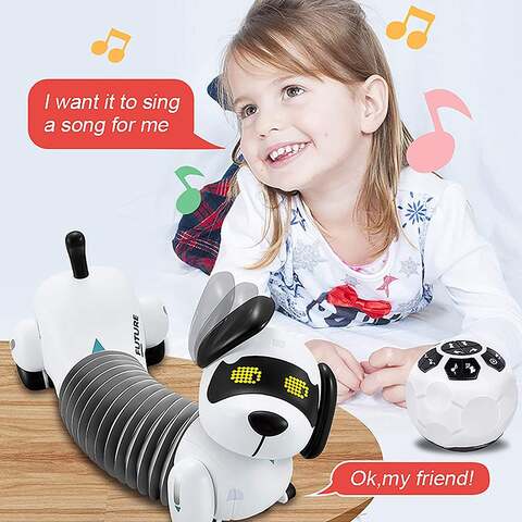 Remote dog best sale toy with camera