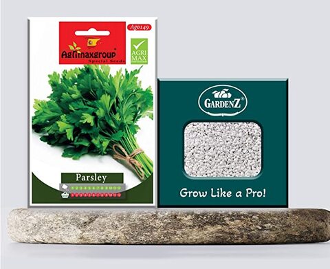 Parsley Seeds AG0149 High productivity + Agricultural Perlite Box (5 LTR.) by GARDENZ