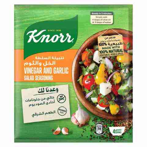 Knorr Salad Seasoning Vinegar with Garlic Herbs &amp; Spices 10g 4 Sachets