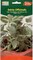 Eurogarden Salvia Sage