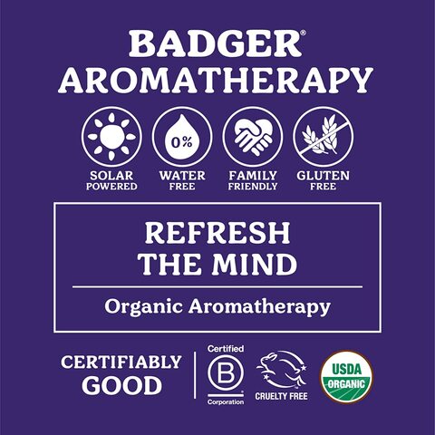 Badger Company, Organic, Headache Soother, Peppermint &amp; Lavender.60 OZ (17 G)