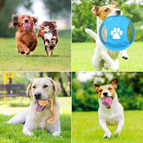 Dog toys best sale for teething puppies