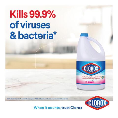 Clorox Liquid Bleach Floral Scent Household Cleaner and Disinfectant Eliminates Common Household Germs and Removes Stains 3.78L