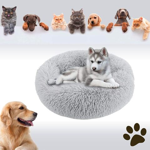 Buy D&D Pa Original Round Pet Bed Ultra Soft Plush Dog/Cat Bed For Small  Medium Large Pets Calming Pet Beds Machine Washable (50Cm,Light Grey)  Online - Shop Pet Supplies on Carrefour UAE