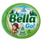 Bella Triangle Cheese 24 Pieces 324GR 