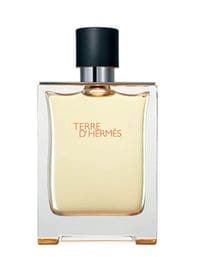 Hermes Terre D&#39; Hermes Eau de Parfum For Men - 75ml