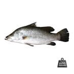 Buy Naqua Sea Bass in Saudi Arabia