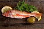 اشتري سمك بربوني طازج في مصر