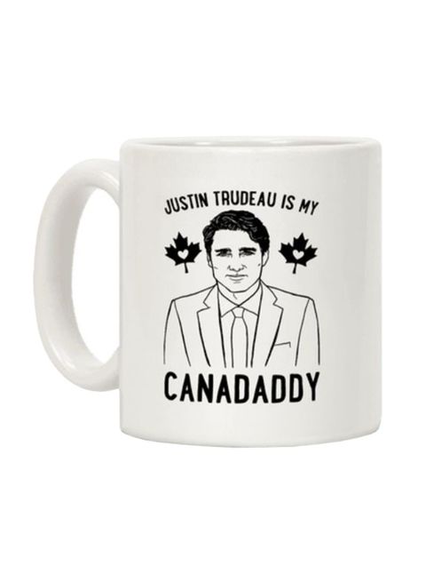 muGGyz Exotic Shorthair Cat Dad Coffee Mug White