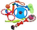 Buy Generic 10 Pcs Pet PUppy Toys Gift Set Ball Rope And Chew Squeaky Toys For Dog Cat in UAE