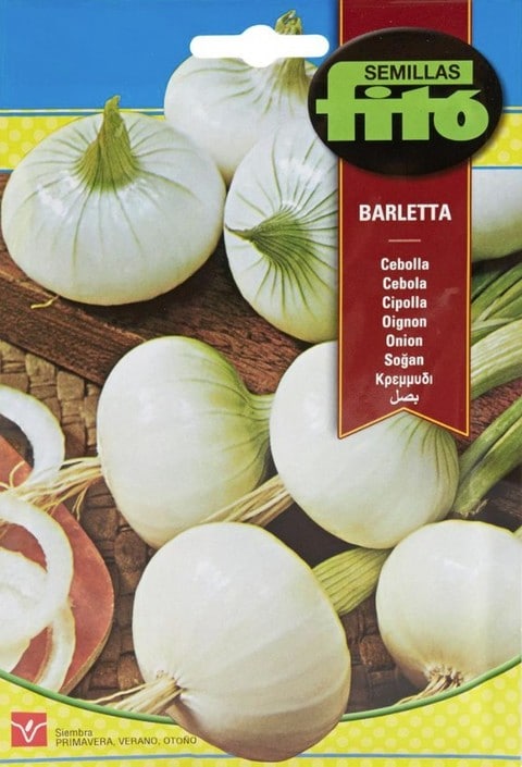 Fito Onion Barletta-41