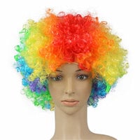 Party Time 1pc Colorful Party Disco Afro Clown Masquerade Hair Wig Multicolour Costume Party Props (25 x 16cm)