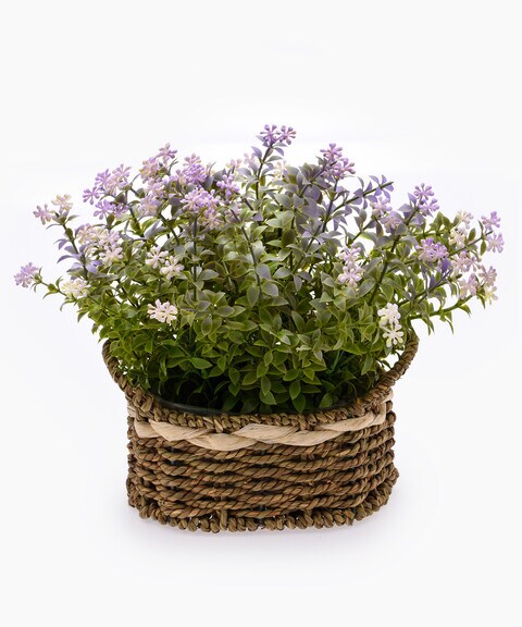Dream Decor Decorative Artificial Flower Plant
